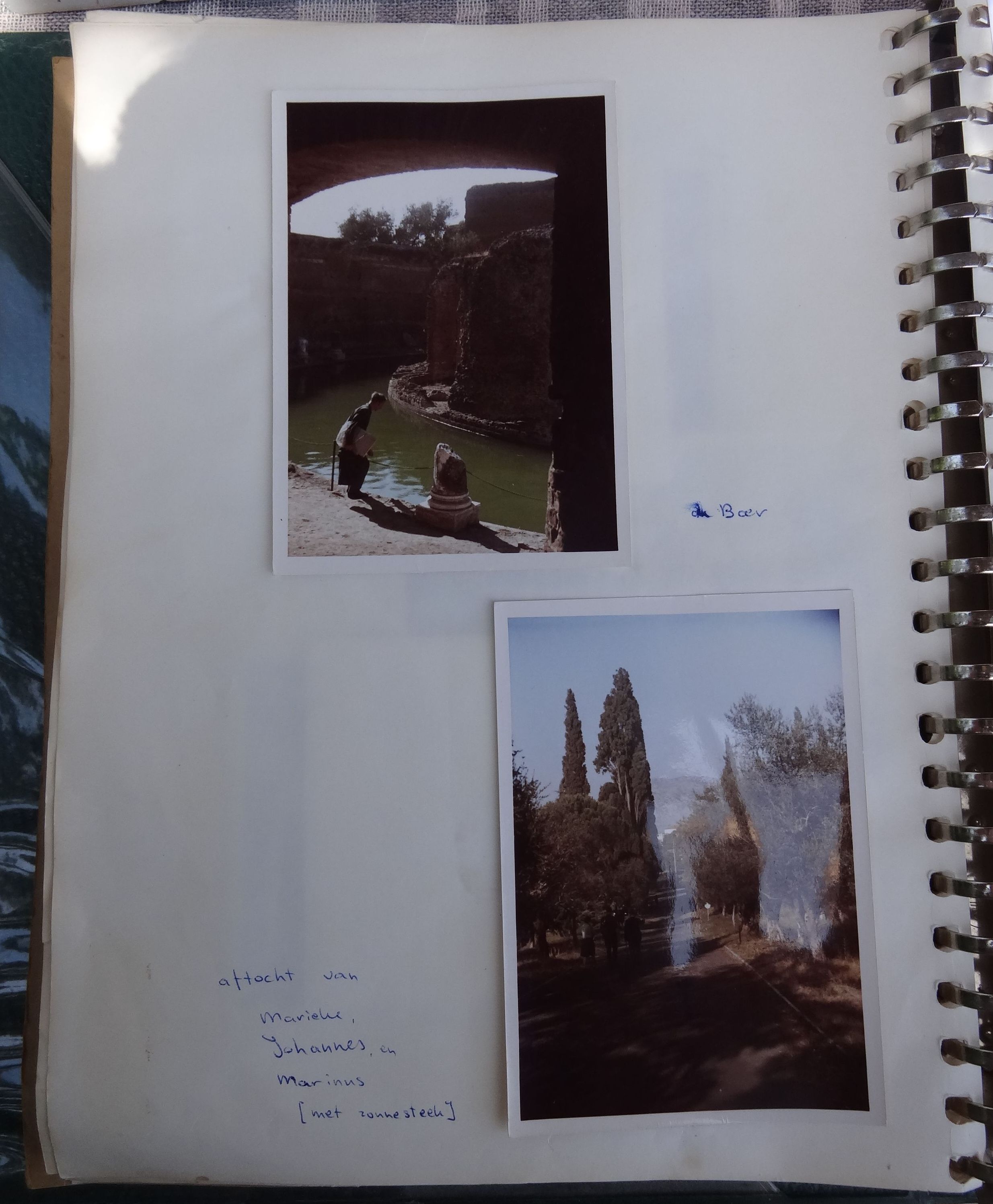 GYMNASIUM ERASMIANUM - ROMA