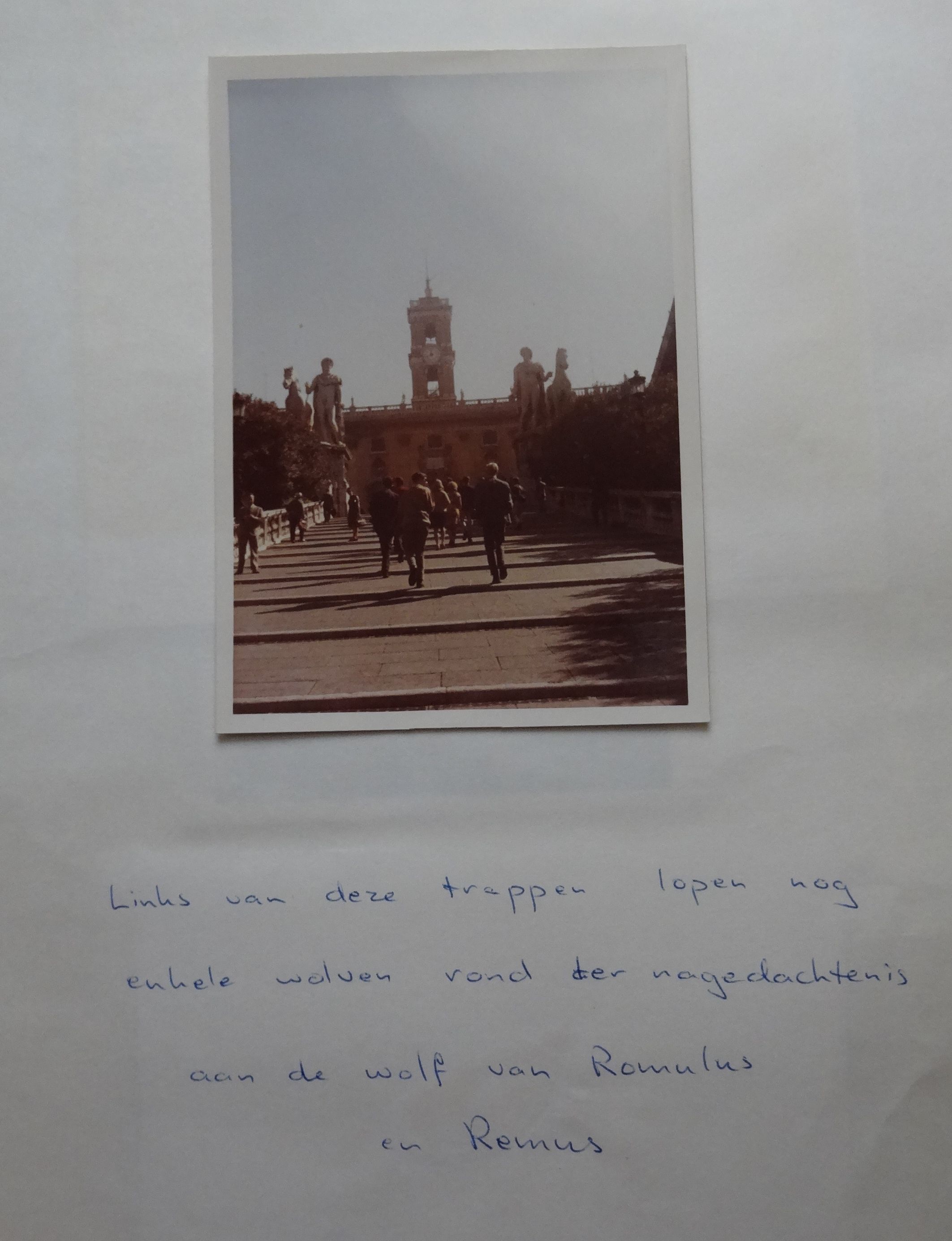 GYMNASIUM ERASMIANUM - ROMA