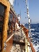 captain COSKUN