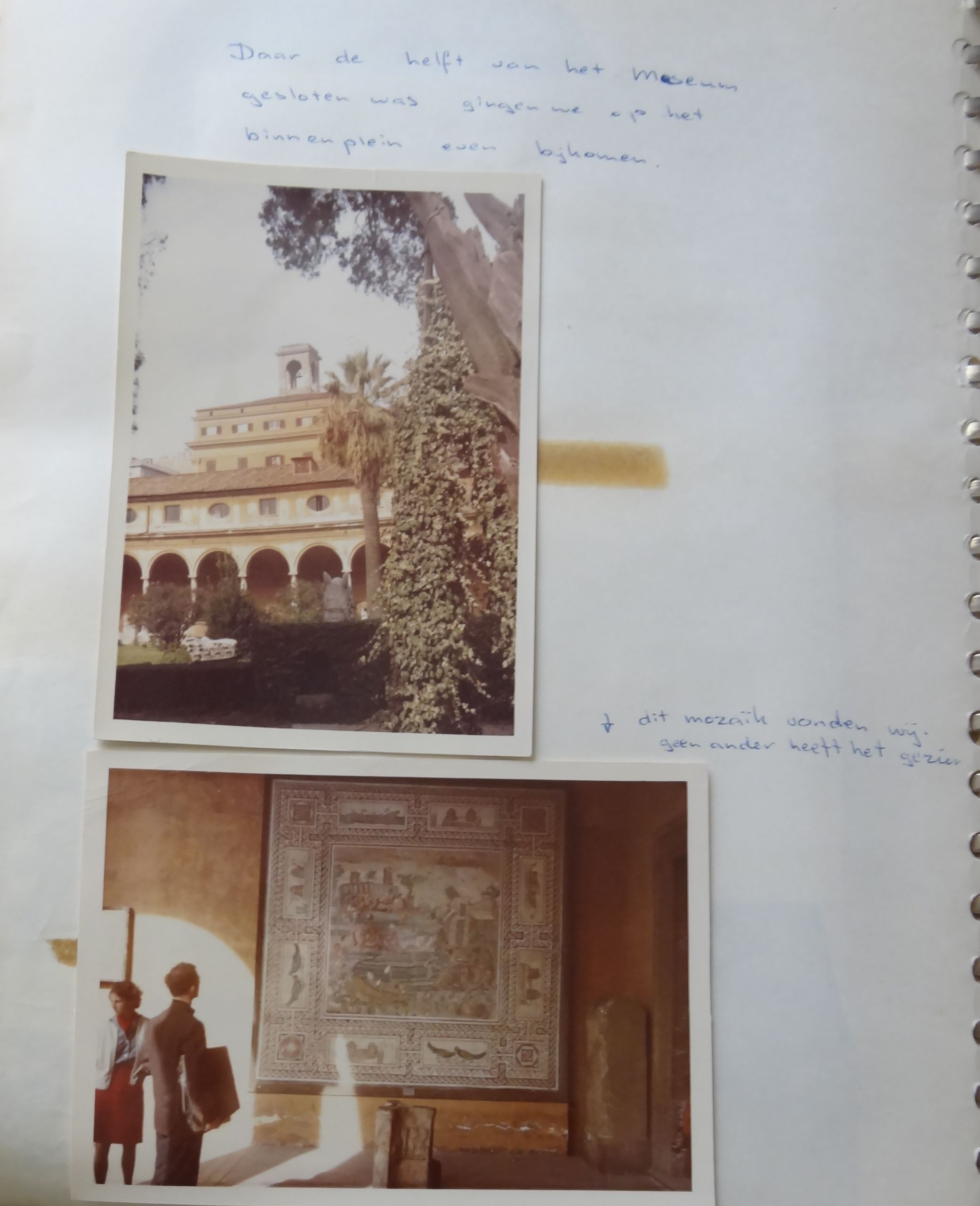 GYMNASIUM ERASMIANUM - ROMA