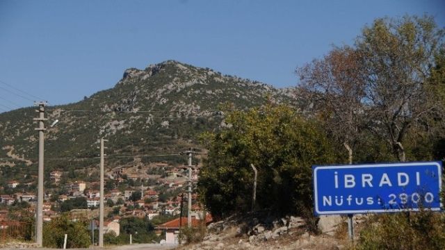 z2018 TRIP
