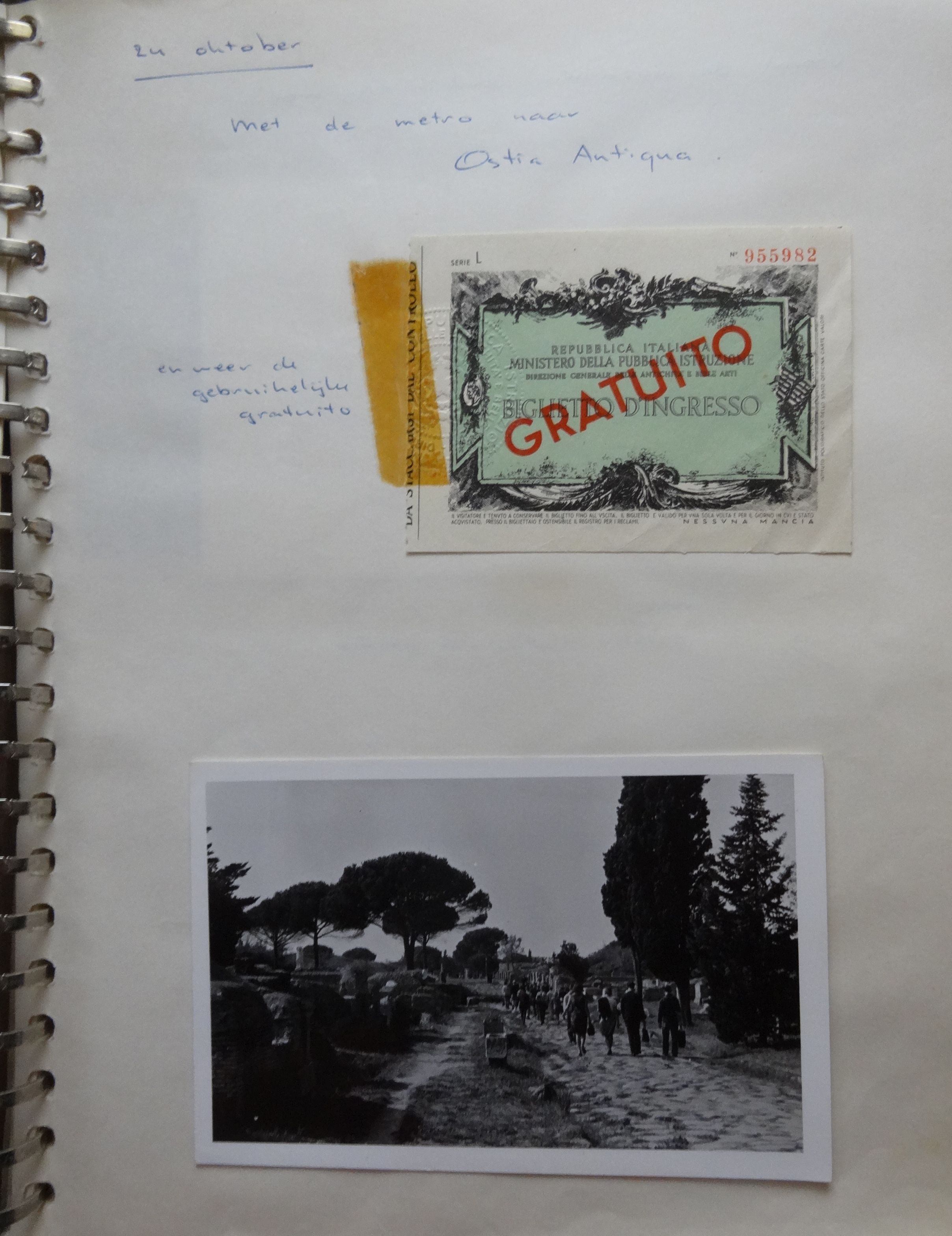 GYMNASIUM ERASMIANUM - ROMA