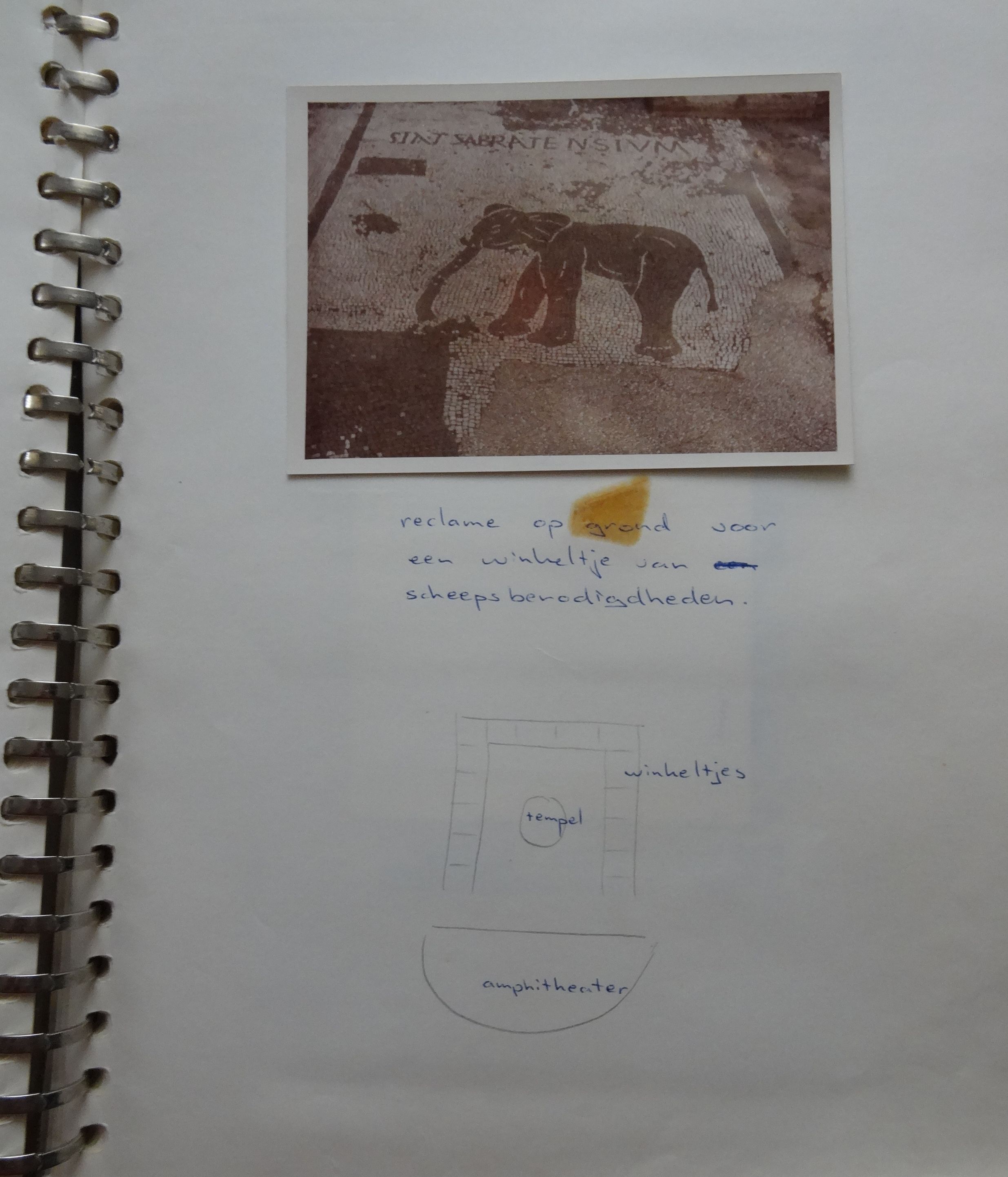 GYMNASIUM ERASMIANUM - ROMA