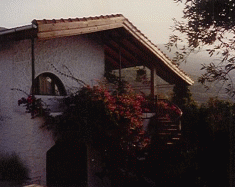 spot in G�VERCINLIK