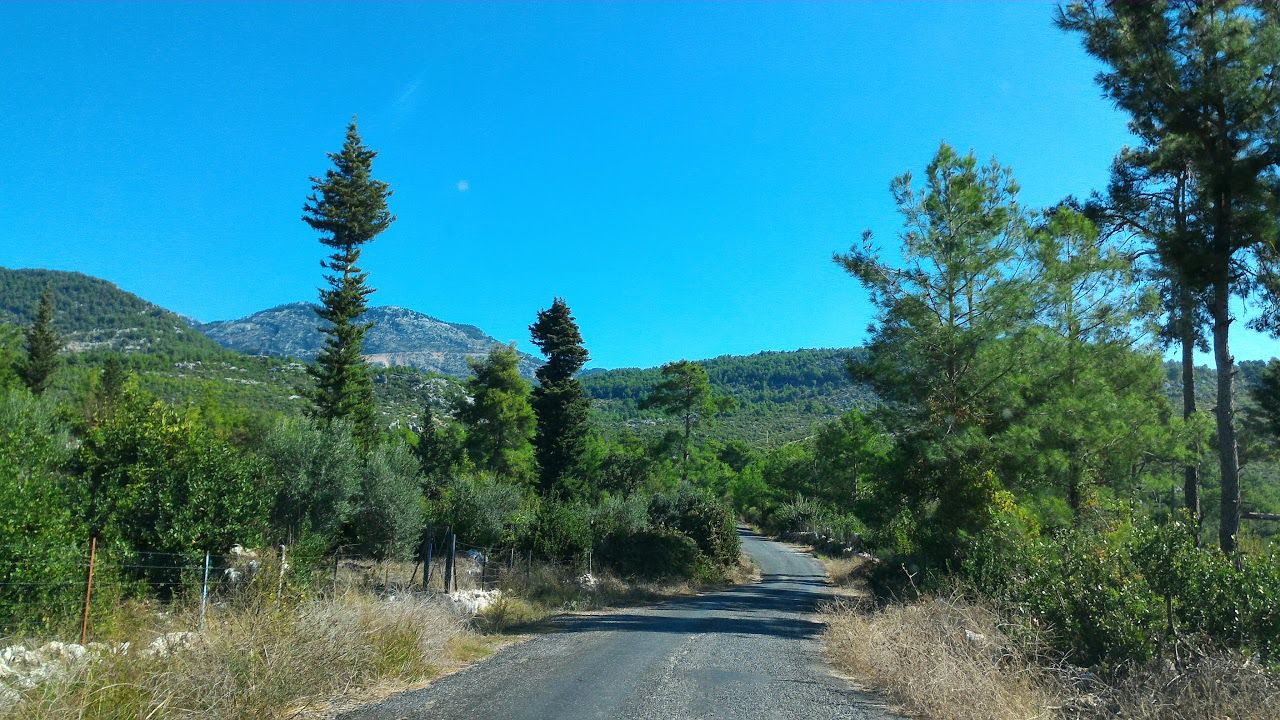 z2018 TRIP