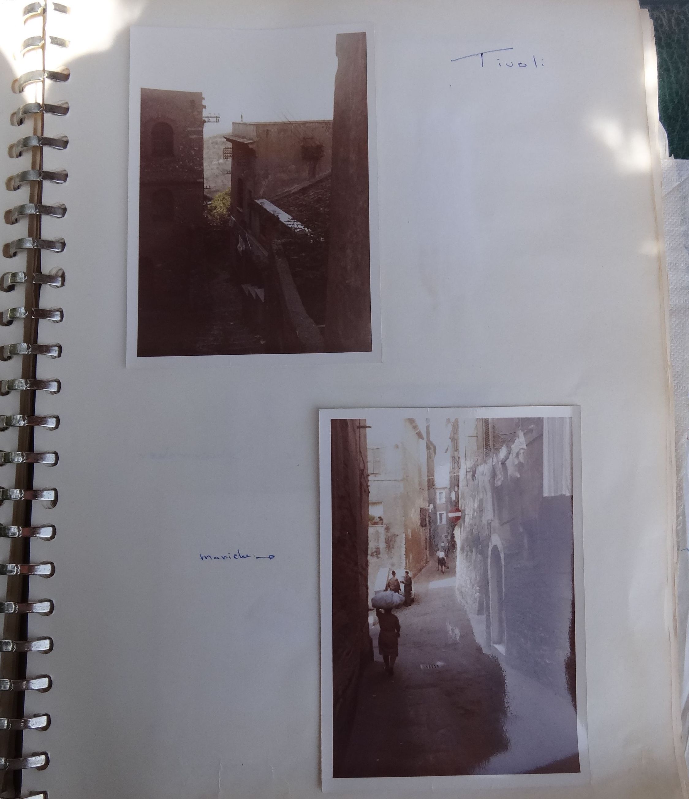 GYMNASIUM ERASMIANUM - ROMA