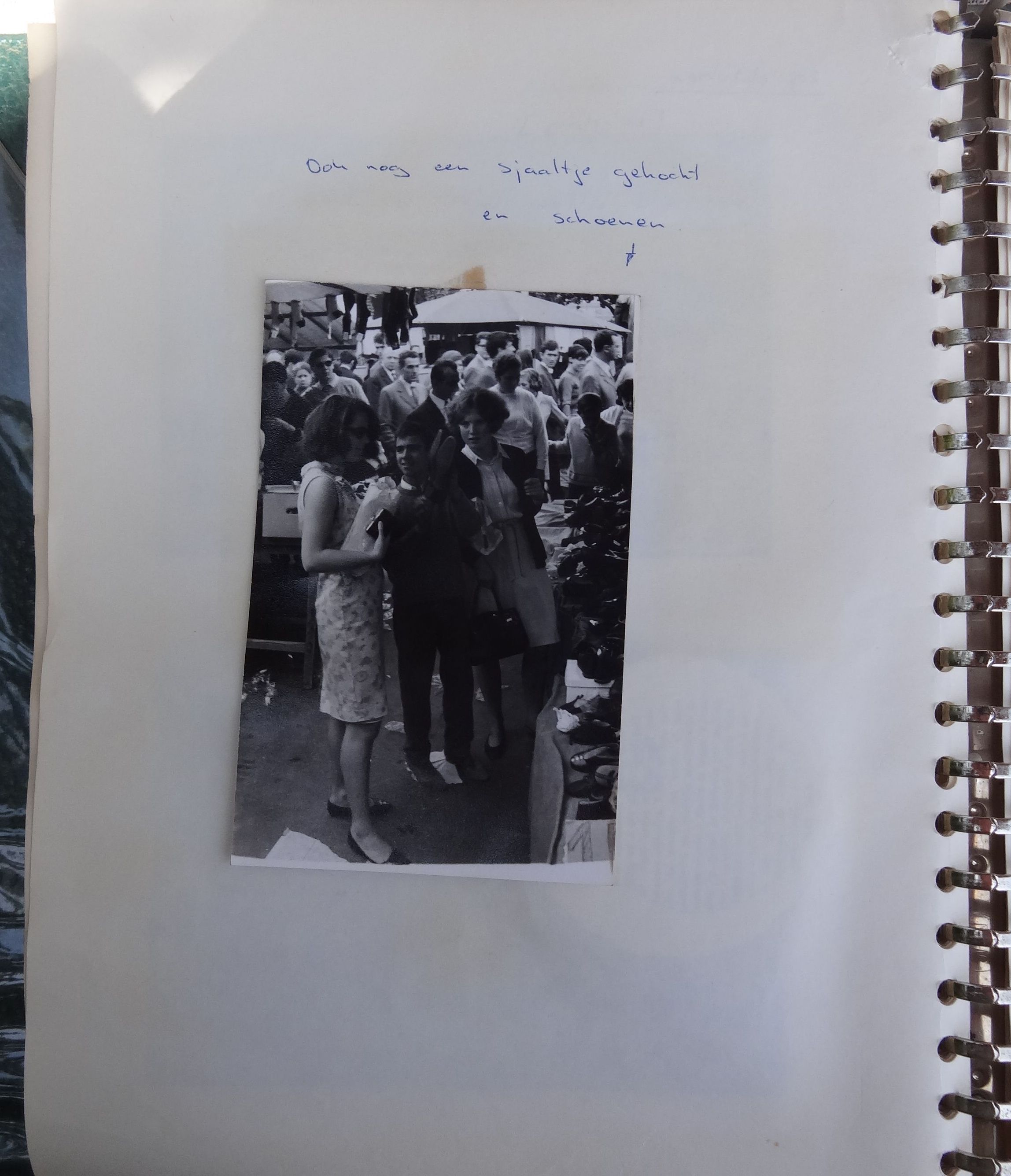 GYMNASIUM ERASMIANUM - ROMA